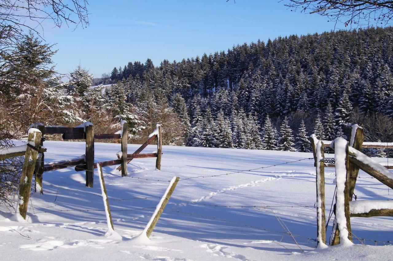 Chalet "A L Oree Du Bois" Бюланж Екстериор снимка